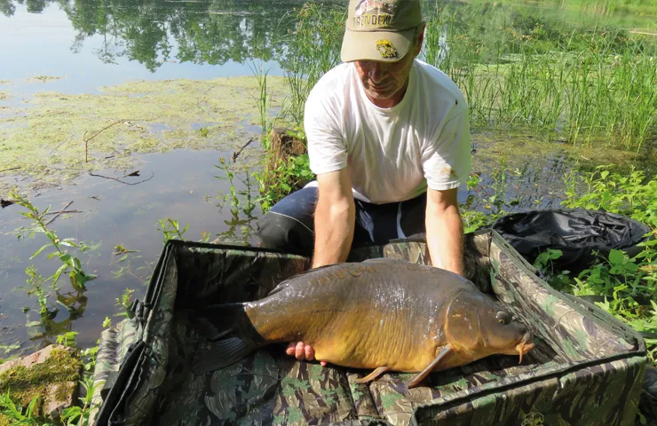 Angler an einem See hält einen gefangenen Fisch in den Händen.